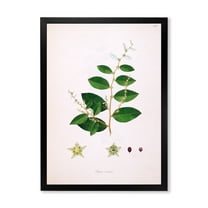 Designart 'Ancient Plant Life XVI' Farmhouse Framed Art Print