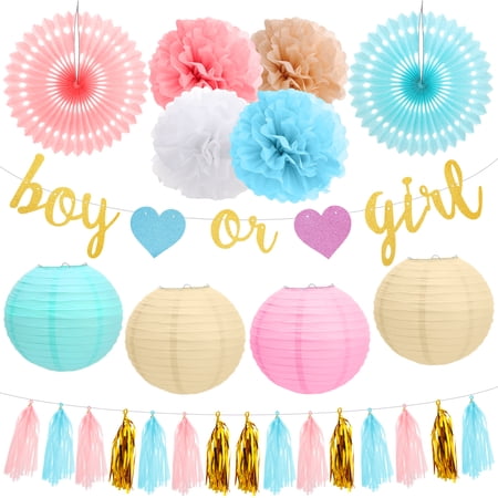 sixwipe 26 Pcs Gender Reveal Party Decor Set, Baby Shower Decorations, Party Supplies Kit in Soft Pink Blue Theme with Paper Lanterns, Pom Poms, Banner for Indoor Outdoor Baby Shower