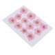 thumbnail image 1 of 12 Piezas Hermosas Flores Secas De Invierno Real Prensadas Flores Secas Para Arte Artesanía Scrapbooking Resina Joyería Artesanía Fabricación Caja Del rosa claro perfecl Flores secas prensadas reales, 1 of 8