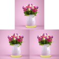 thumbnail image 2 of 3pc Saucer Tray for Pots Heavy Duty Thickened Flower Pot Base,Round Water Catch Tray Deep Tray for Indoor/Outdoor Durable Drainage Saucer for Planter Decor(12.6In,diameter), 2 of 6