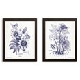 thumbnail image 1 of Lovely Old-Fashioned Indigo Plant Botanical Prints by Gwendolyn Babbitt; Two 11x14in Brown Framed Prints; Ready to hang!, 1 of 1