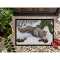 thumbnail image 3 of Carolines Treasures ASA2180JMAT Grey Squirrel Door Mat Indoor Rug or Outdoor Welcome Mat 24x36 Doormat  36"L x 24"W, 3 of 4