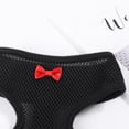 thumbnail image 3 of GUANGHONG Chicken Hen Size with Matching Belt Comfortable Breathable Medium, 3 of 9
