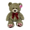 Way To Celebrate Valentine's Day Sitting Plush, Teddy Bear, Brown
