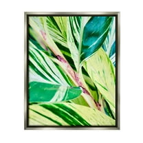 Stupell Industries Tropical House Plant Leaves Close Up Photography Photograph Luster Gray Floating Framed Canvas Print Wall Art, Design by Gail Peck