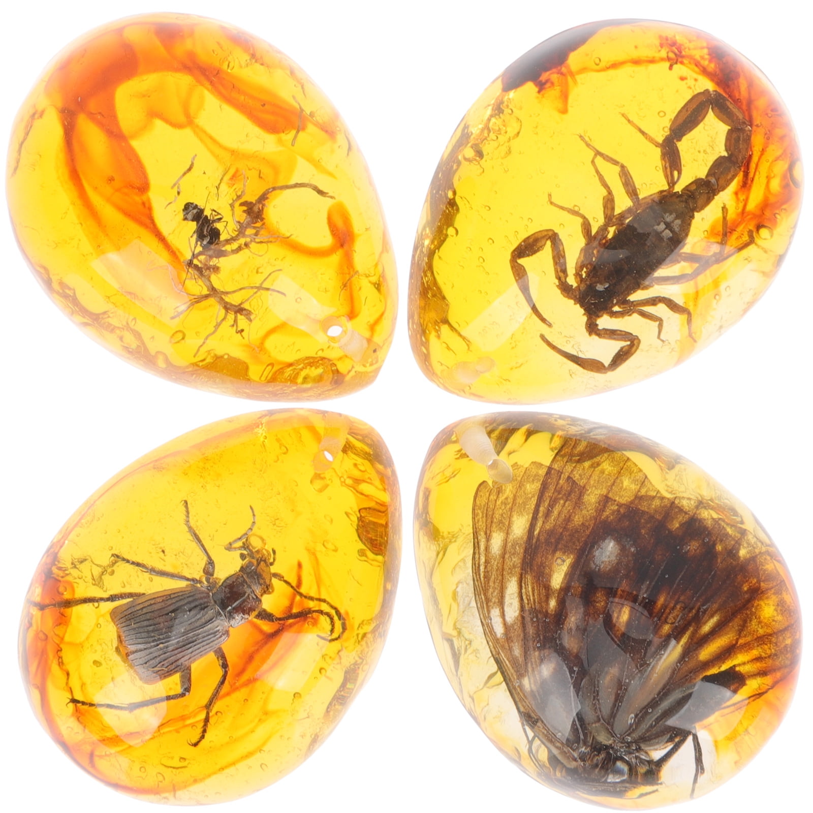 Real Scorpion Insect Amber Resin cabochon Amulet Home Decor fridge magnet -  Crealandia