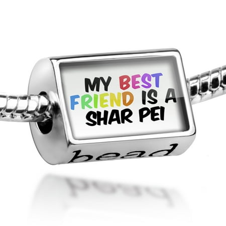Bead My best Friend a Shar Pei Dog from China Charm Fits All European (Best Friend In Chinese Tattoo)