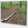 thumbnail image 2 of Tronc de Bouleau sur la Piste, 2 of 3