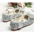 thumbnail image 5 of Girl’s Glitter Dress Shoes Low Heels Sparkly Princess Shoes, 5 of 6