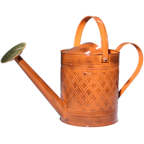 Robert Allen Home and Garden Wexley 2Gallon Watering Can