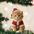 thumbnail image 5 of Hangs2 2D Acrylic Cat Themed Rearview Ornament And Keychain For Indoor And Holiday Use, 5 of 5