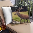 thumbnail image 1 of Ahgly Company Sites Antelope Outdoor Throw Pillow, 18 inch by 18 inch, 1 of 6