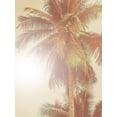 thumbnail image 2 of Urban Road 25x32 Black Ornate Wood Framed with Double Matting Museum Art Print Titled - Sunkissed Palm Poster, 2 of 4