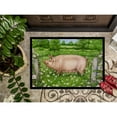 thumbnail image 3 of Pig In Dasies by Debbie Cook Door Mat, 3 of 4