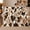 Southwestern Cowhide Aztec Tribal Medallions Brown Tan Living, variant on Southwestern Cowhide Aztec Tribal Medallions Brown Tan Living, Dramatic Artistic Scene, Warm Flannel Blanket for Living Room and Bedroom, Art Lovers Housewarming Gift, Artistic Home Decor