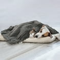 thumbnail image 4 of Softlife Super Soft Fluffy Velvet Pet Blanket for Dog and Cat, 20" x 30", Gray, 4 of 6