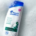 thumbnail image 4 of Head & Shoulders Itchy Scalp Care Anti-Dandruff Shampoo, Paraben Free, 32.1 oz, 4 of 9
