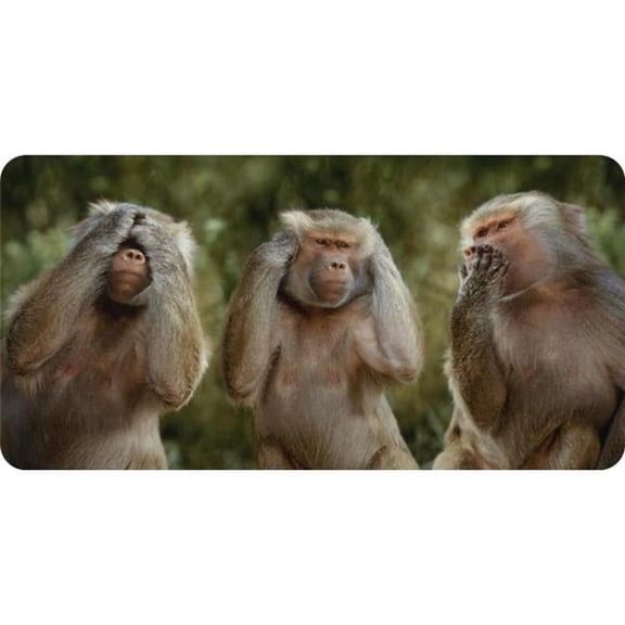 Three Monkeys Photo License Plate