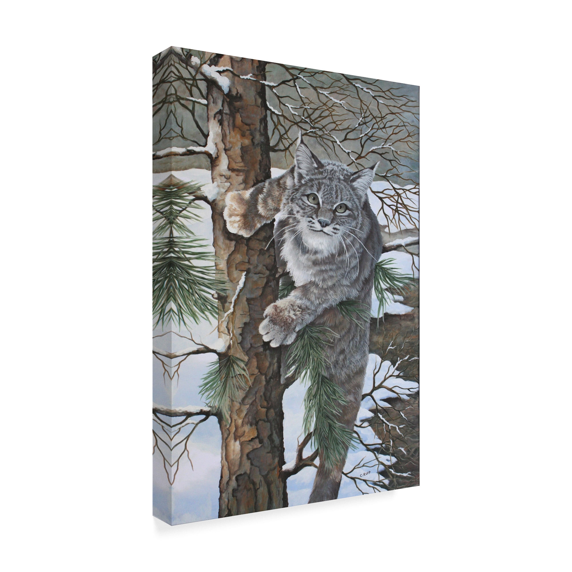 Trademark Fine Art 'Bobcat On Tree' Canvas Art by Carol J Rupp