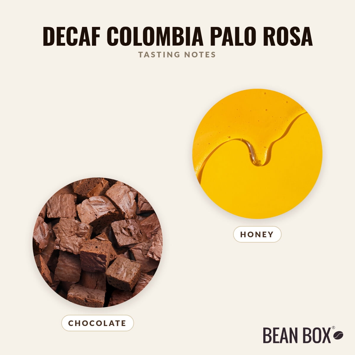 Decaf Colombia Palo Rosa - Roasted by Broadcast Coffee Roasters - Whole Bean Coffee - 2lb Bag