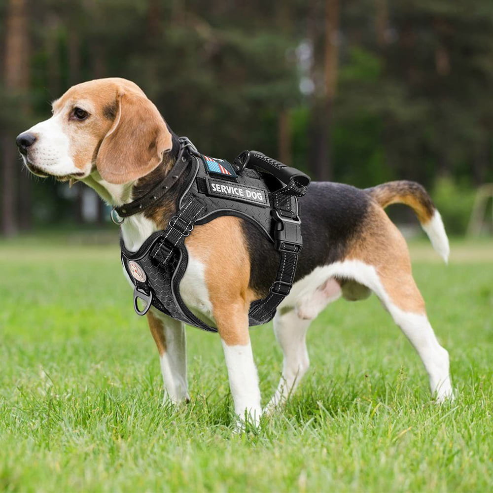 No pull Reflective Dog Harness Nylon Mesh Padded Adjustable Strap XXS-L Beagle 