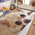 thumbnail image 1 of Area Rugs for Living Room 4x6 ft Machine Washable Large Soft Stain Resistant Rug Animal Chihuahua, Indoor Home Office Bedroom Dining Room Print Foldable Carpet, 1 of 6