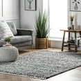 thumbnail image 2 of nuLOOM Brooke Contemporary Shag Accent Rug, 2' x 3', Gray, 2 of 8