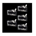 thumbnail image 1 of Inteprter Bolsa de 5 piezas para bebidas, contenedor de leche, portátil, para el hogar, comedor, Bar, café, cocina, interior, exterior, Barra de herramientas Pequeño, 1 of 6