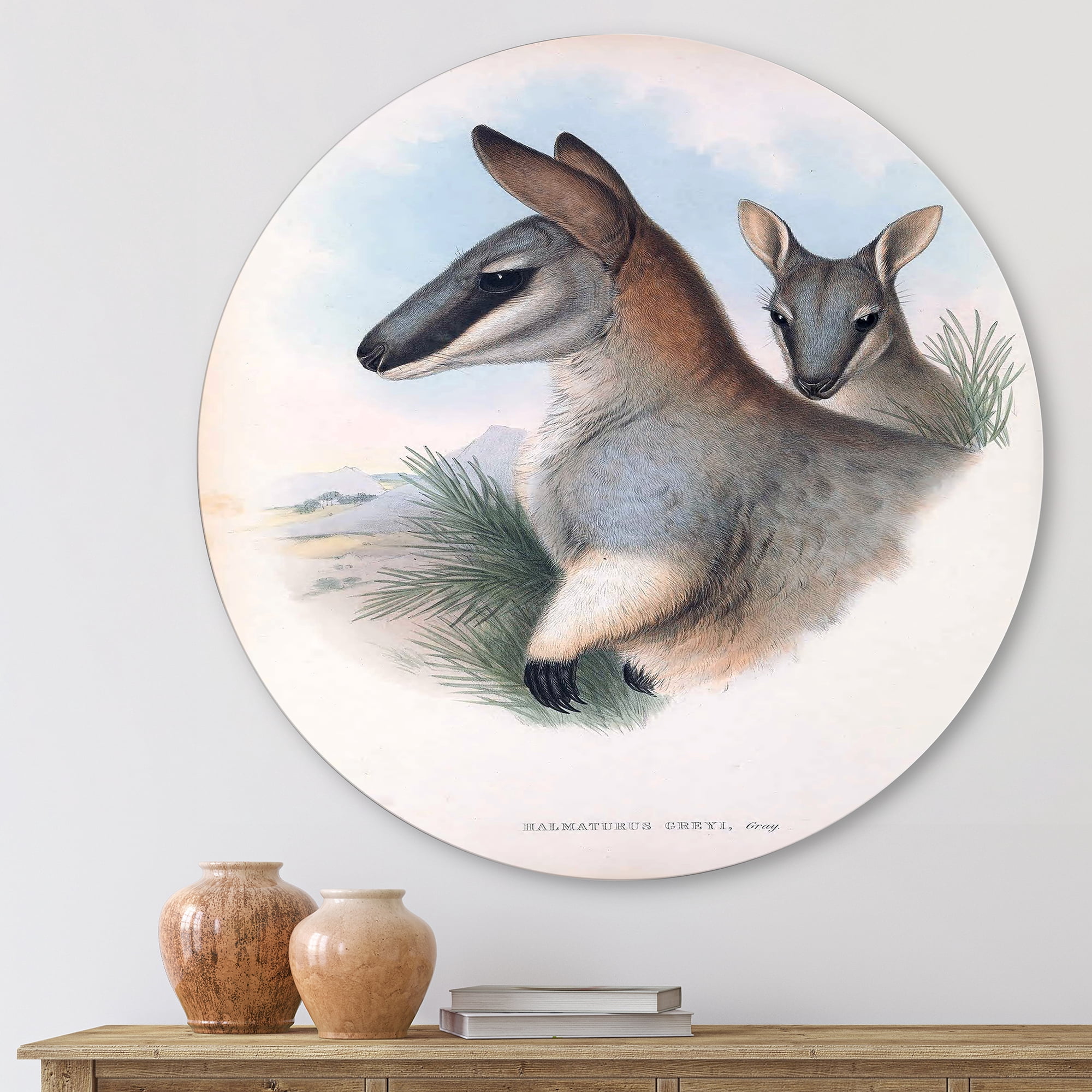 Designart 'Ancient Kangaroo' Farmhouse Circle Metal Wall Art 23x23 - Disc of 23