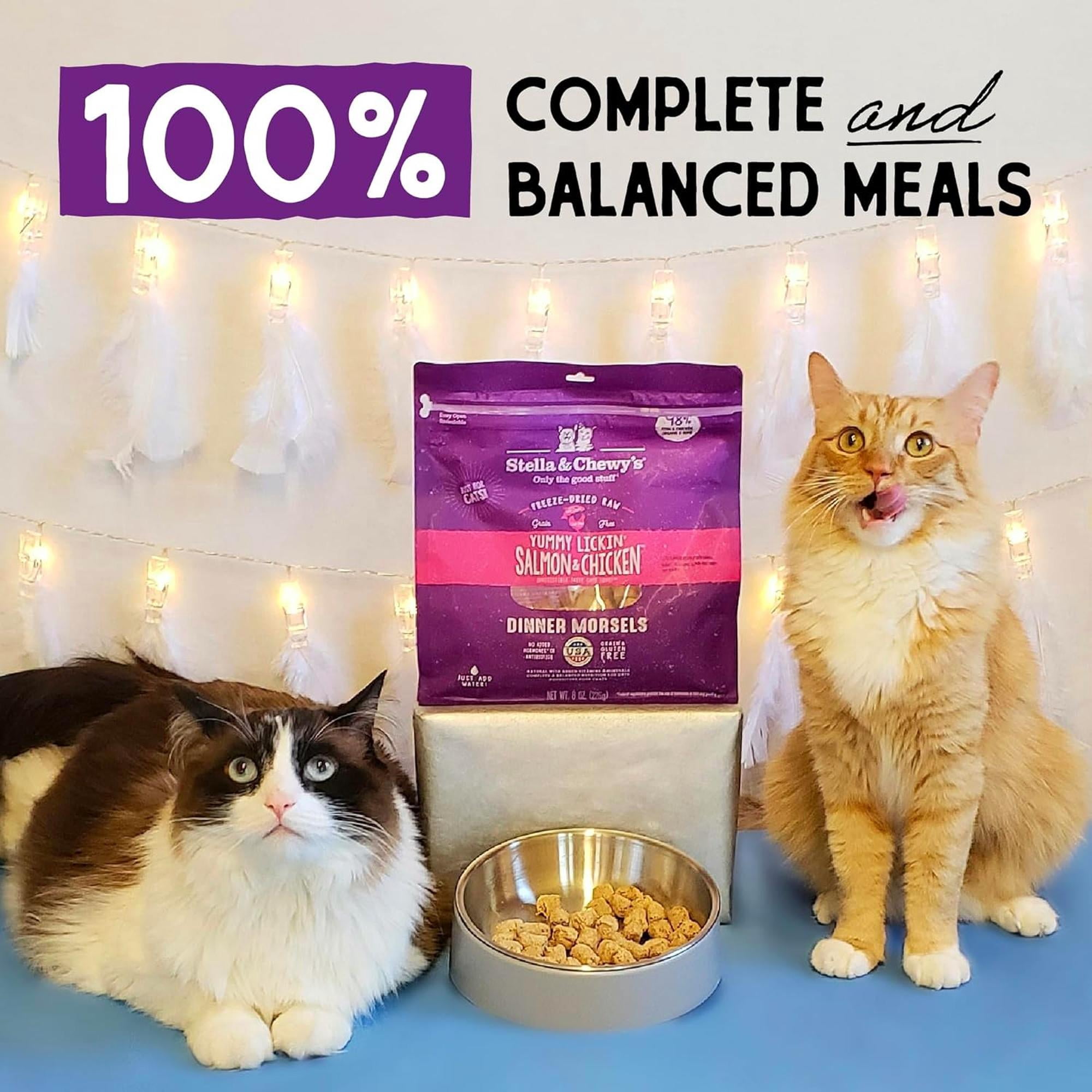 Stella & Chewy's Freeze-Dried Morsels for Cats - Yummy Lickin' Salmon & Chicken - 1 Ounce Bag