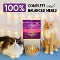 thumbnail image 2 of Stella & Chewy's Freeze-Dried Morsels for Cats - Yummy Lickin' Salmon & Chicken - 1 Ounce Bag, 2 of 11