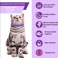 thumbnail image 4 of ORUYROP Calming Collar for Cats 3 Pack Calming Cat Collars Pheromone Collar for Cats Anxiety Relief Lasts 60 Days Adjustable Calming Collar for Kitten Kitty Calm Collar Cat Calm Relaxing Comfo, 4 of 7