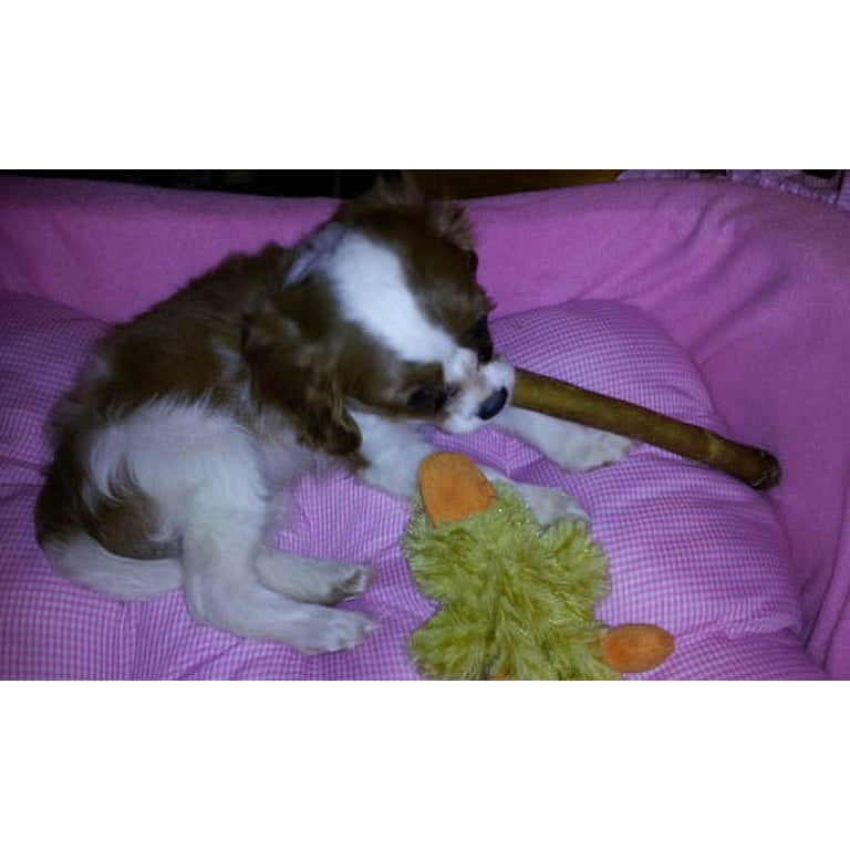 Dog bassinet clearance bed