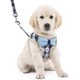 thumbnail image 1 of ZHAOCHENG Chalecos para perros y chalecos con correa, transportador de perros acolchado de malla suave, chaleco de tracción transpirable ajustable, chaleco con pajarita para cachorros, adecuado para p, 1 of 5