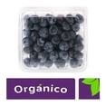 thumbnail image 1 of Blueberry orgánica 170 g, 1 of 1