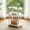 White, variant on GOODLAN Wooden 3-Tier Side Table, Small End Table for Living Room and Bedroom, Rustic Walnut Vintage Accent Coffee Table Nightstand with Storage
