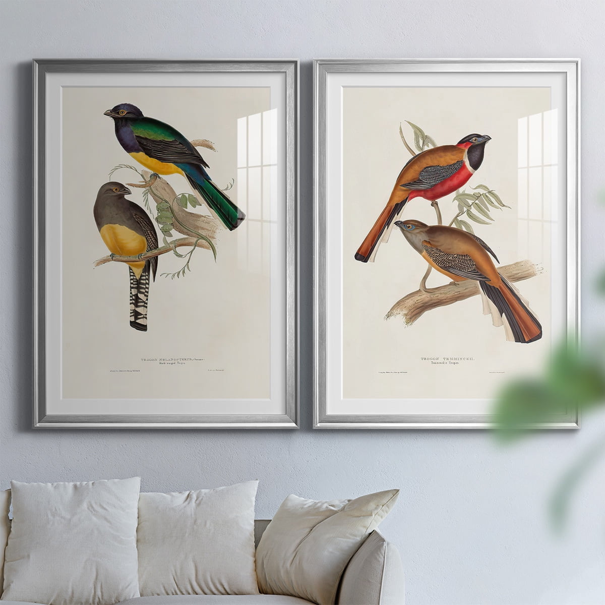 Wexford Home Elegant Trogons III Premium Framed Print, 18.5" x 24.5" - Ready to Hang, Silver (Set of 2)