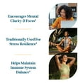 thumbnail image 4 of Pattern Wellness Lion's Mane Mushroom Supplement with BioPerine, Memory & Focus Support, 90 Count, 4 of 6