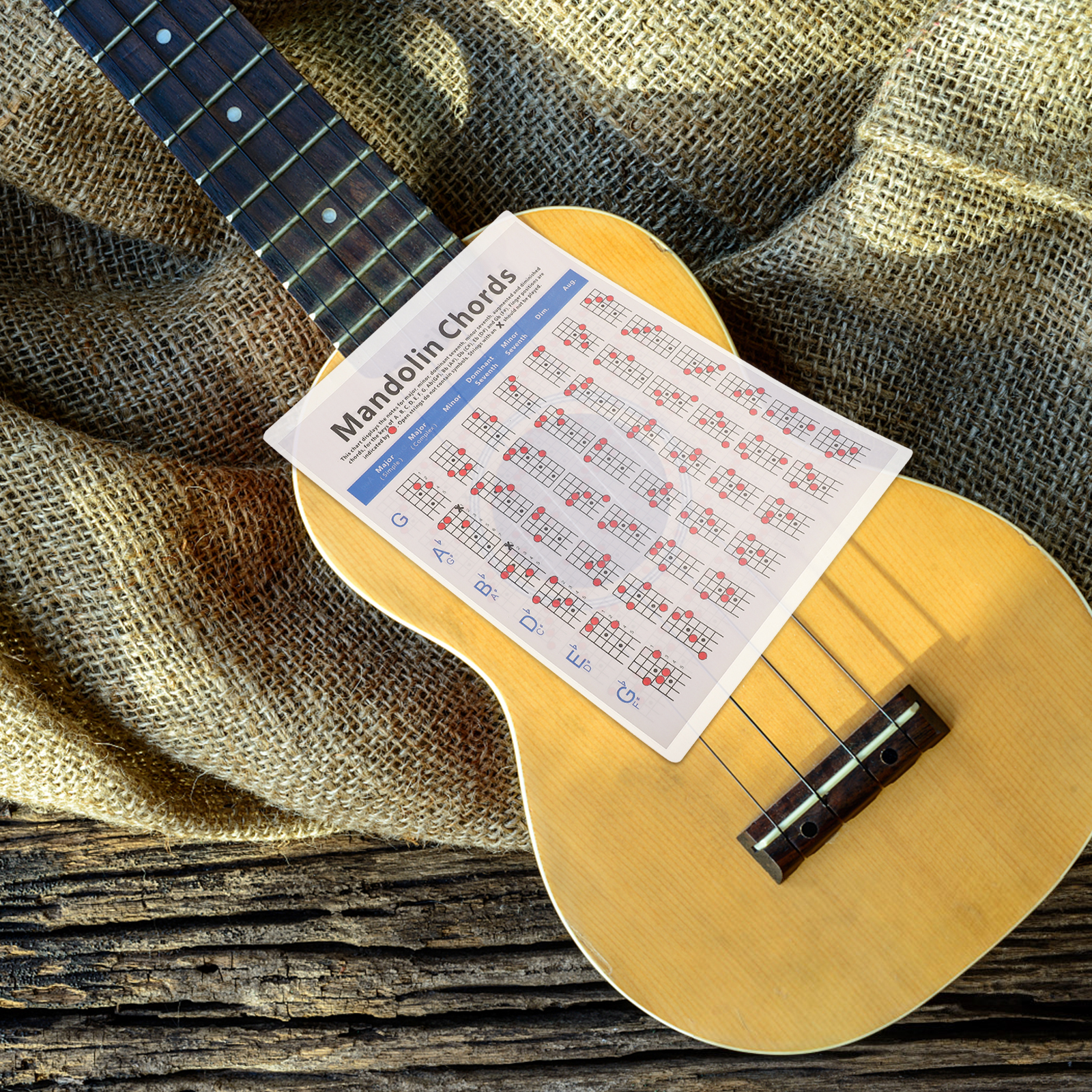 Mandolin Fretboard Note Chord Poster Guitar Chart Notes Supplies