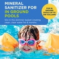 thumbnail image 2 of Dispensador de minerales precargado para desinfectante para piscinas FROG Instant FROG, 25 000 galones, 2 of 7
