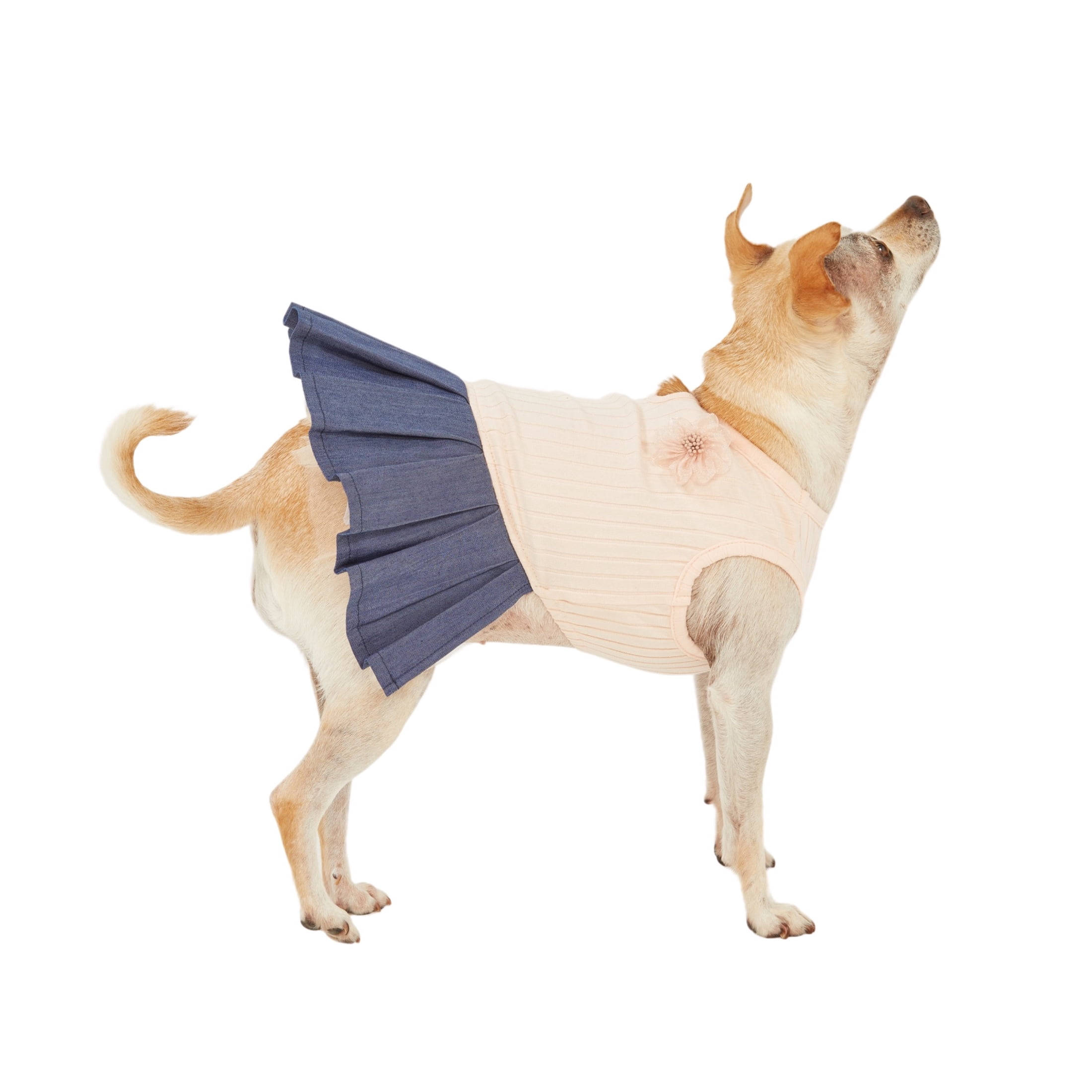 CANINI by Baguette The Cassandra Dress, Xsmall