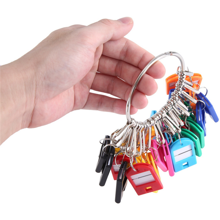Portable Key Organizer With 50 Tags – D-Shape Iron Janitor Ring & Label Tags For Home, Office, Luggage