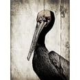 thumbnail image 2 of Ogren, Sarah 15x18 Black Ornate Wood Framed with Double Matting Museum Art Print Titled - Rustic Brown Pelican, 2 of 4