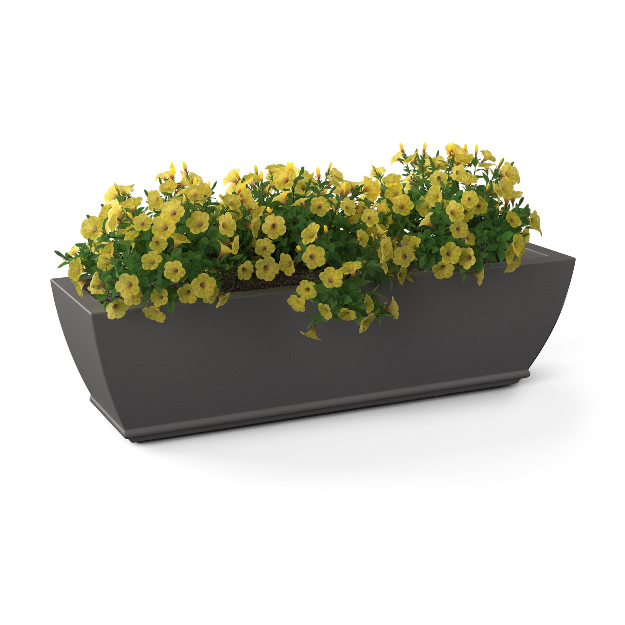 Acadia 36" x 11" x 10" Rectangular Graphite Grey Self Watering Plastic Window Box Planter