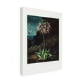 thumbnail image 2 of Trademark Fine Art Pictufy The American Cowslip from The Temple of Flora 1807 Canvas Wall Art, 2 of 4