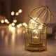 thumbnail image 2 of de Hierro/lámpara Colgante de Pared Luz Bombilla en apariencia de Jaula de Pájaros Artificiales Oficina Porche Dormitorio Decor Blanco cálido Colco Luz en forma de jaula de pájaros, 2 of 7