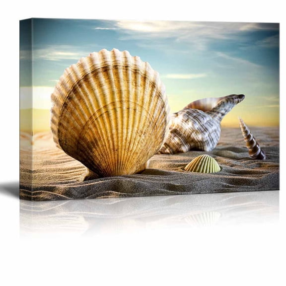 wall26 - Canvas Prints Wall Art - A Variety of Seashells on a Sandy Beach under a Clear Sky | Modern Wall Decor/Home Decoration Stretched Gallery Canvas Wrap Giclee Print. Ready to Hang - 24" x