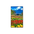 thumbnail image 2 of NEC MultiSync M751-AVT3 - 75" Diagonal Class M-Series LED-backlit LCD display - with TV tuner - digital signage - 4K UHD (2160p) 3840 x 2160 - HDR - direct-lit LED, 2 of 8