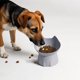 thumbnail image 5 of Peine autolimpiable para gatos y perros,desenredante y eliminador de pelo suelto con un solo botón,peine de dientes densos para mascotas,herramienta de aseo para gatos y perros, 5 of 9