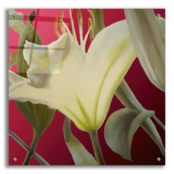 Epic Art 'Lily Red' by Jan Mclaughlin, Acrylic Glass Wall Art, 24"x24"